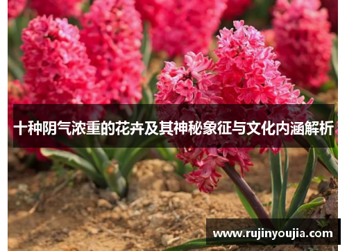 十种阴气浓重的花卉及其神秘象征与文化内涵解析