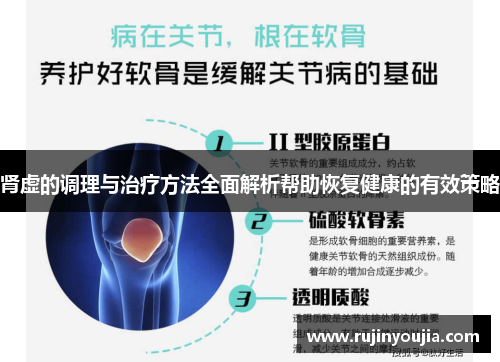 肾虚的调理与治疗方法全面解析帮助恢复健康的有效策略
